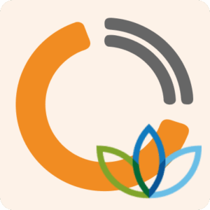 Abstract orange logo with colorful leaves for EMIS Web setup.