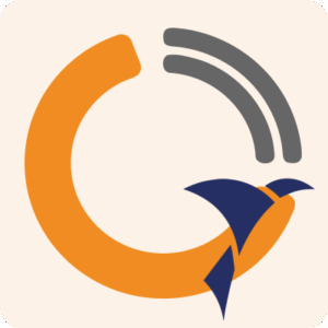 Abstract orange logo with a blue bird for SystmOne setup.